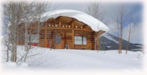 vacation rental cabin in the ohio valley in gunnison colorado for hunting